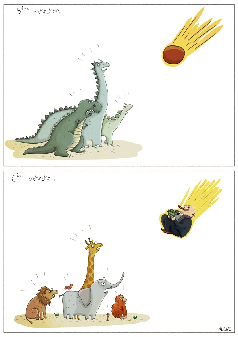 Sixième extinction de masse - ADENE